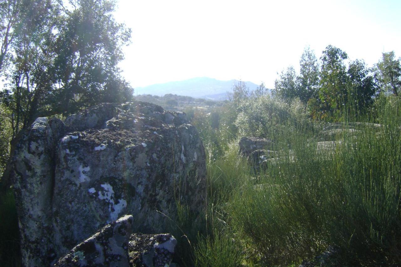 הוילה Marvão Tapada Da Beira מראה חיצוני תמונה