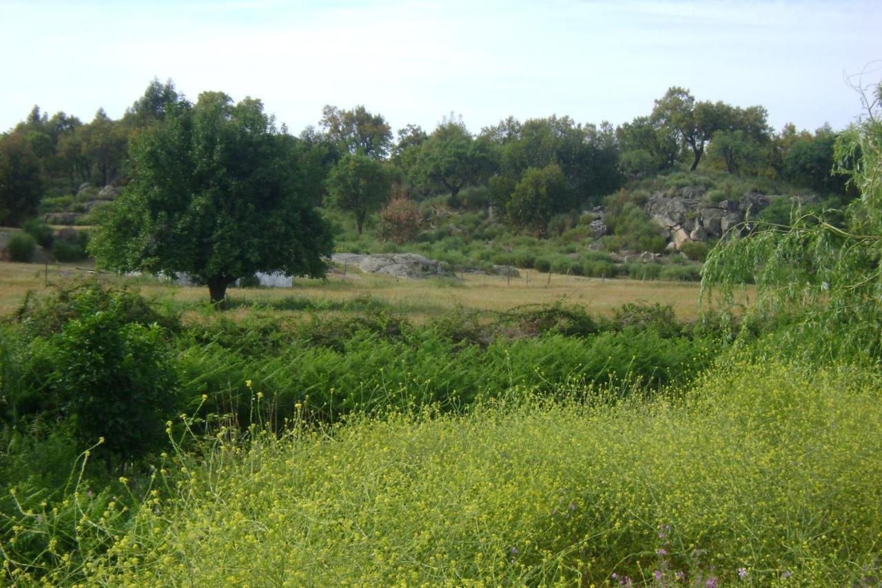 הוילה Marvão Tapada Da Beira מראה חיצוני תמונה