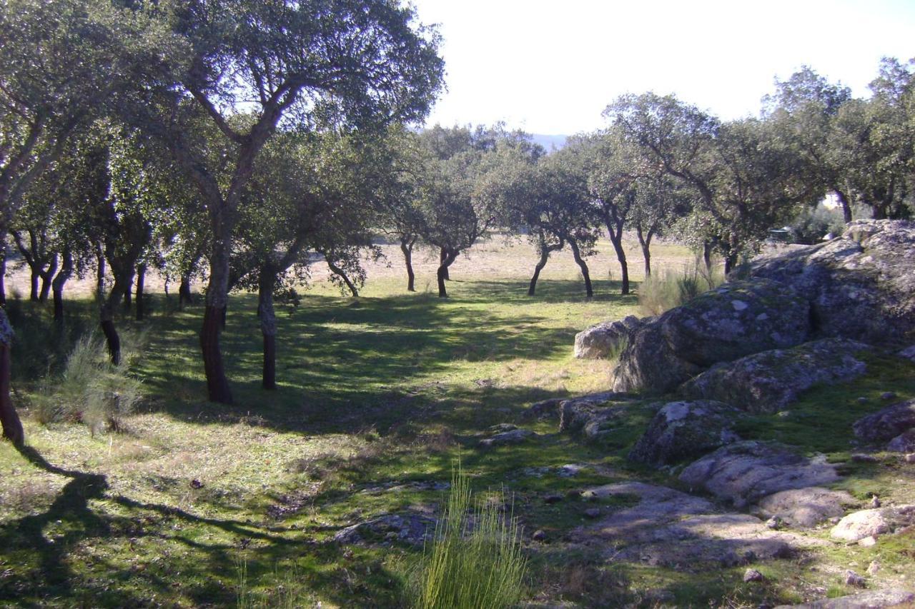 הוילה Marvão Tapada Da Beira מראה חיצוני תמונה